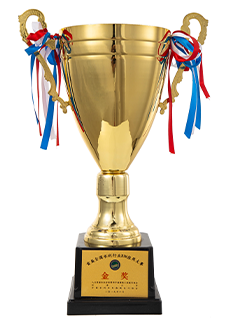 首屆全國水利行業BIM應用大賽金獎